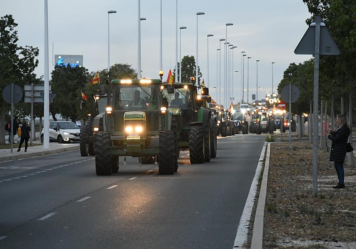 Tractorada celebrada recientemente en Elche.