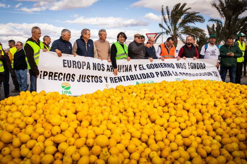 La marcha de tractores a Orihuela, en imágenes