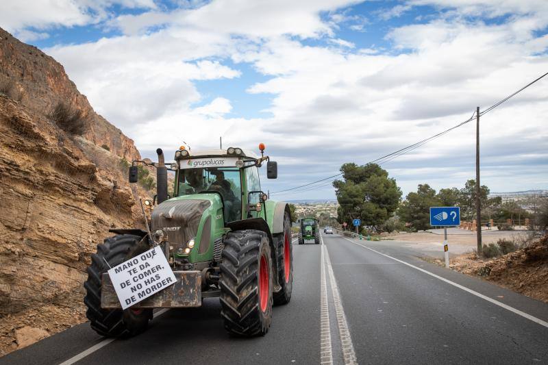 La marcha de tractores a Orihuela, en imágenes