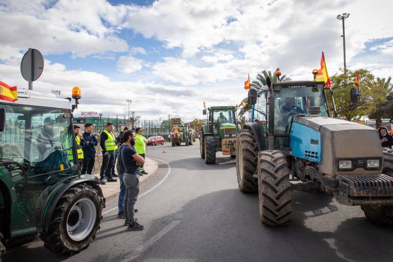 La marcha de tractores a Orihuela, en imágenes