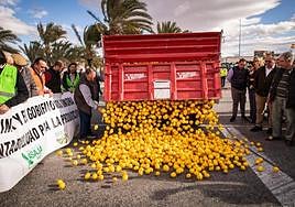 La marcha de tractores a Orihuela, en imágenes