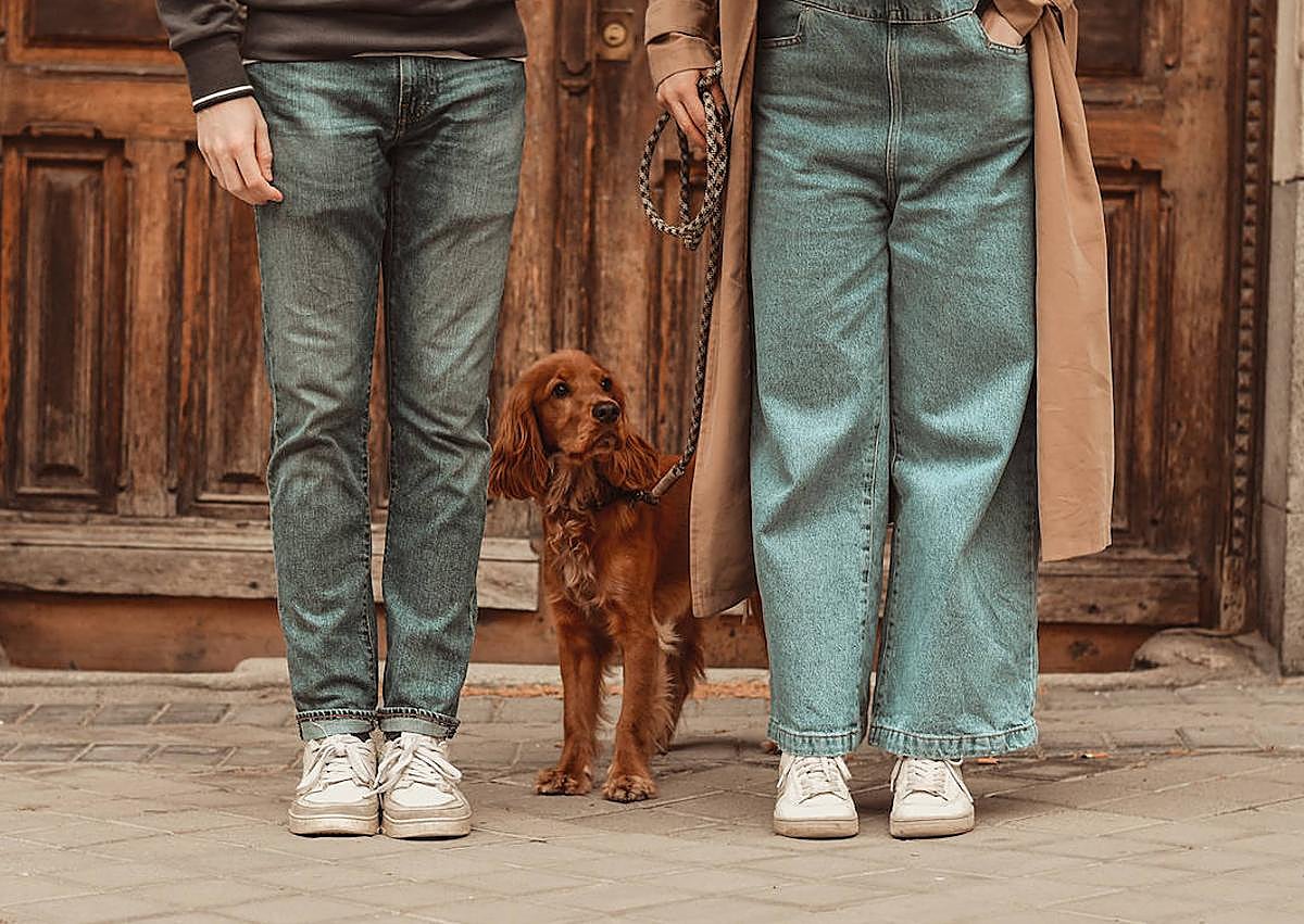 Imagen secundaria 1 - Varias sesiones de mascotas.