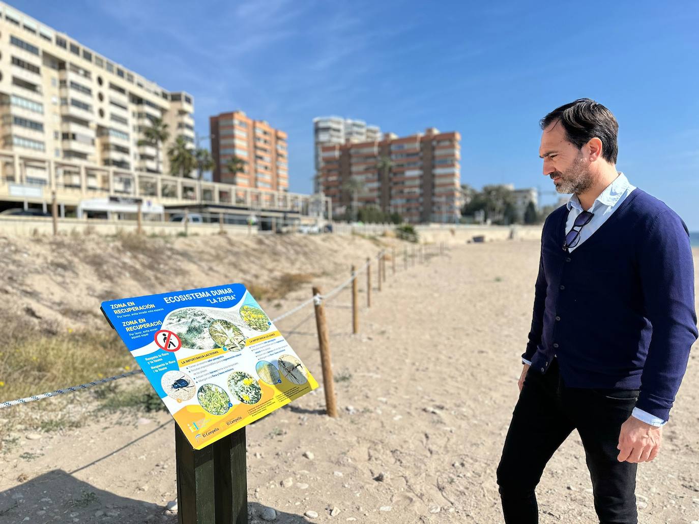 Imagen secundaria 2 - El Campello acota dos zonas en sus playas para crear ecosistemas dunares