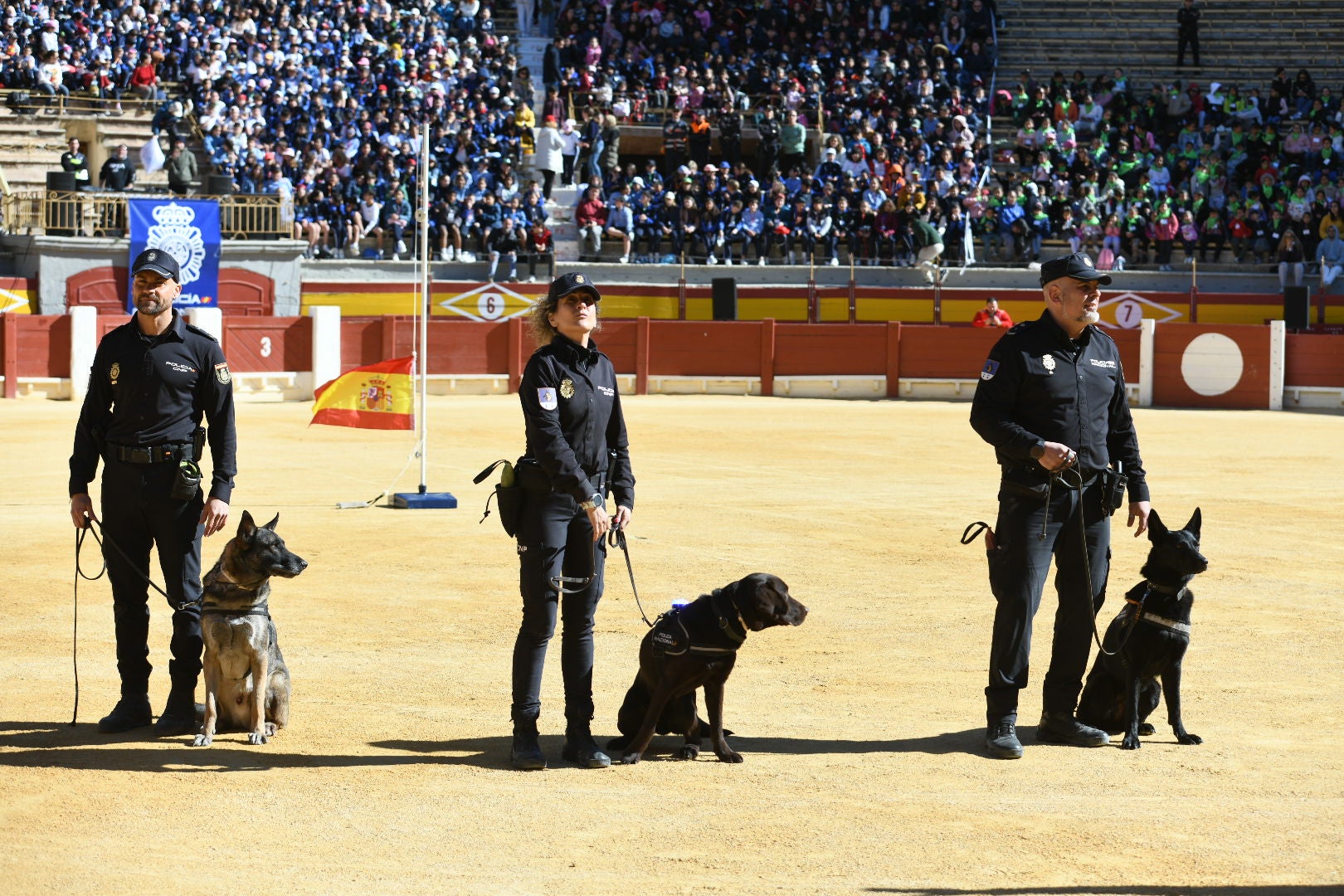 Imágenes de la espectacular exhibición de la Policía Nacional en Alicante