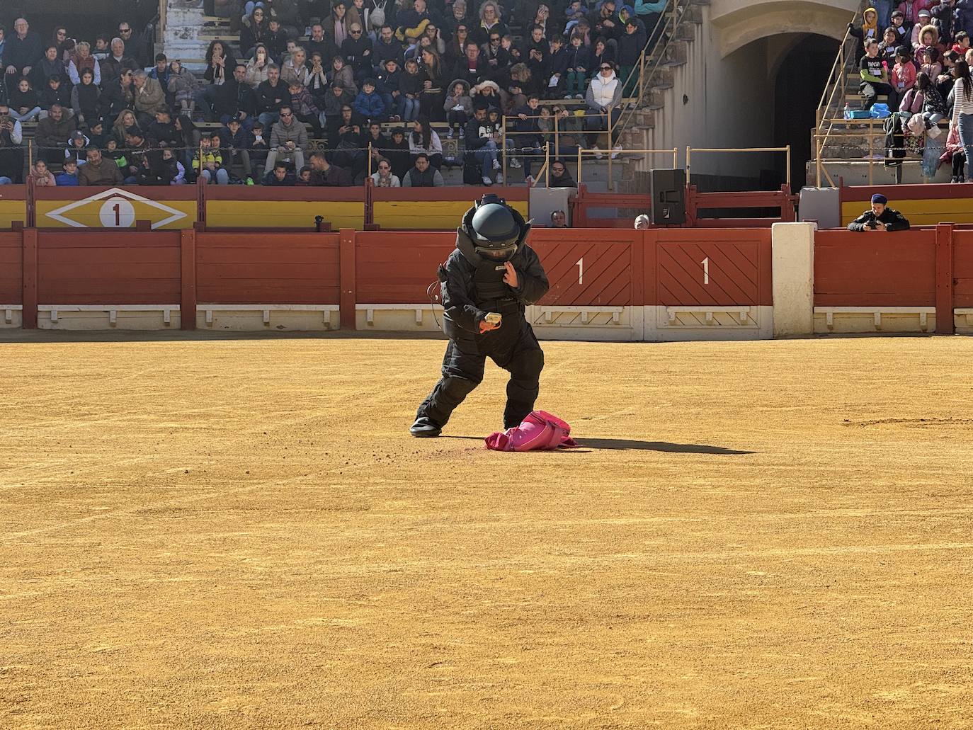 Imágenes de la espectacular exhibición de la Policía Nacional en Alicante