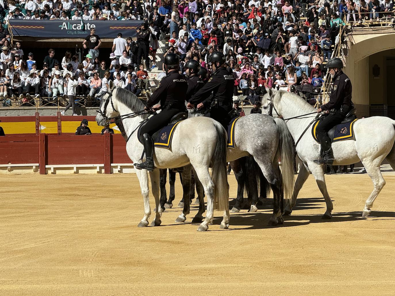 Imágenes de la espectacular exhibición de la Policía Nacional en Alicante