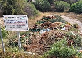 Restos de poda vertidos en un punto de recogida municipal en El Camperllo.