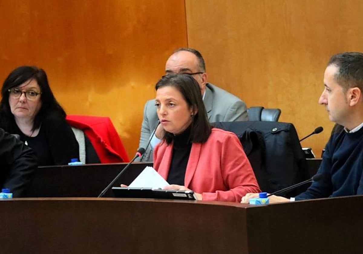 Cristina Escoda, portavoz del PSPV-PSOE, durante un pleno reciente