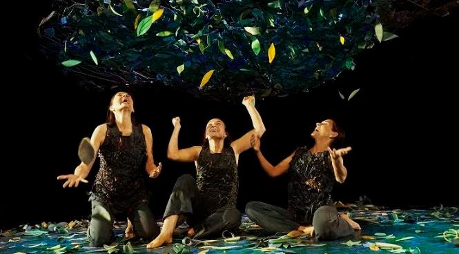 'SOTOBOSQUE, la vida bajo los árboles'.