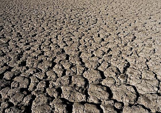 Tierra rota por la falta de agua.