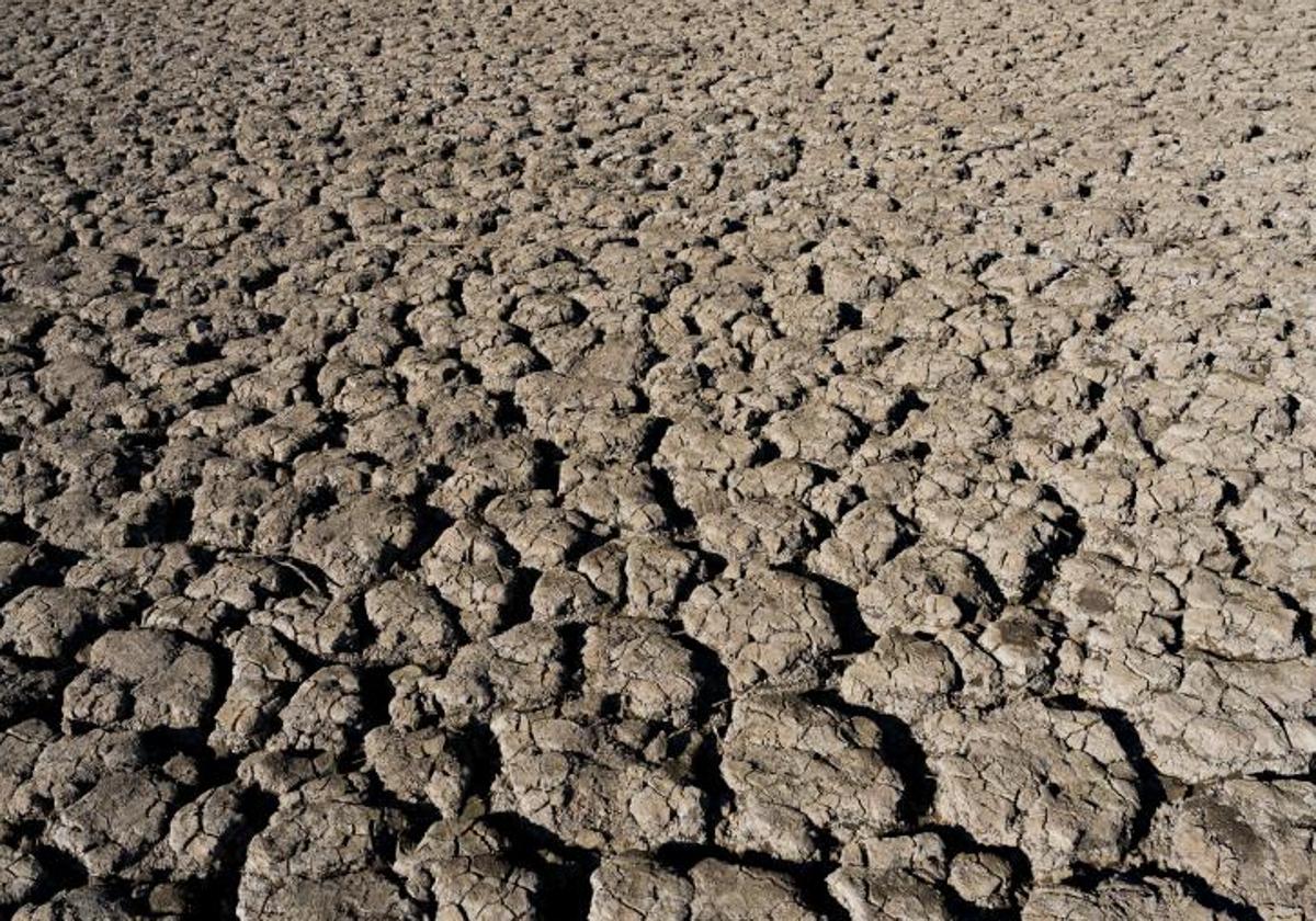 Tierra rota por la falta de agua.