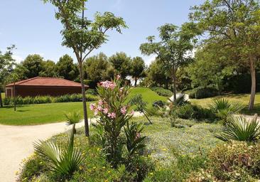 Neighbourhood association Parque del Mar demands more lighting