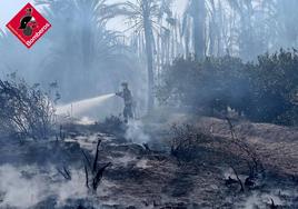 Un efectivo del Consorcio de Bomberos lanza agua en el palmeral.