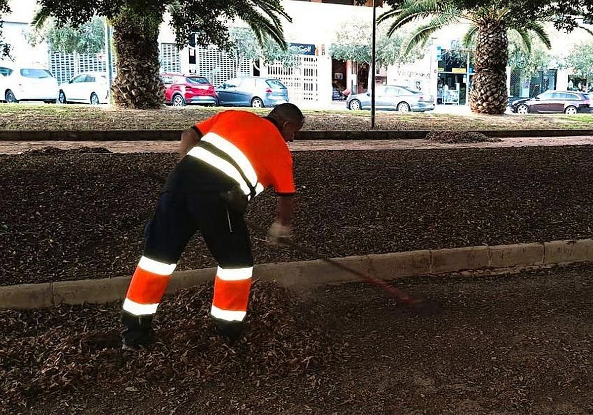 Personal de limpieza en su trabajo.