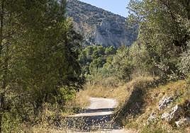 Camino rural rodeado por vegetación en un pueblo de la sierra alicantina.