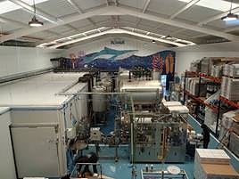 La cerveza mediterránea que deslumbra en los concursos internacionales