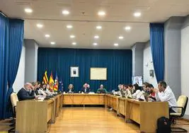 El pleno de Campello.