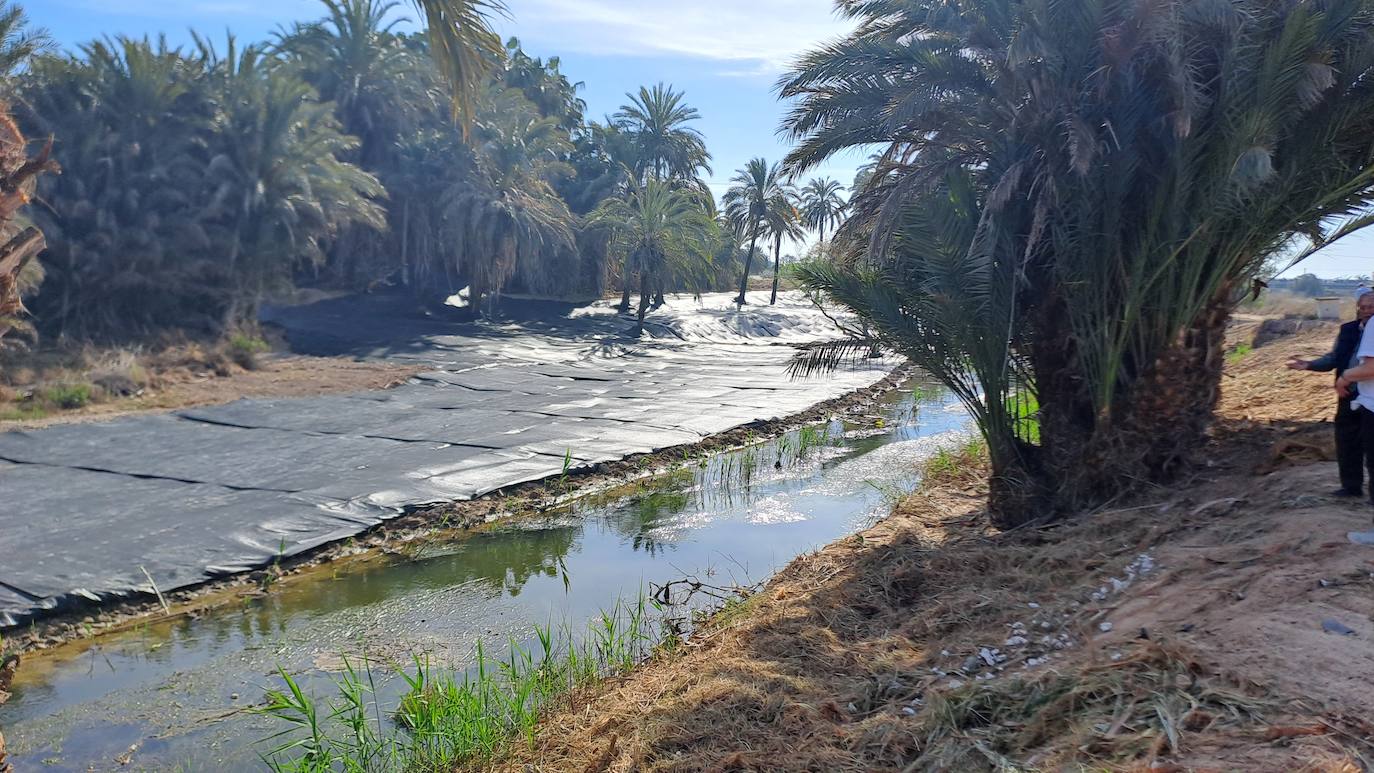 Imagen secundaria 1 - Comienzan las obras del cauce del Vinalopó para acabar con especies invasoras