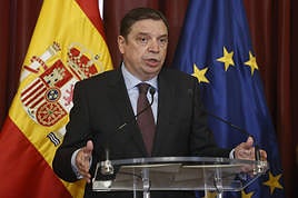 El ministro de Agricultura Luis Planas.