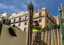 Las cañas llegando al Ayuntamiento de Alicante.