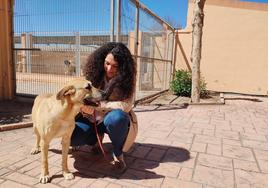 La edil Cristina Cutanda posa junto a un perro del albergue municipal.