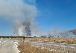 Imagen del incendio declarado cerca del Montgó desde la carretera.