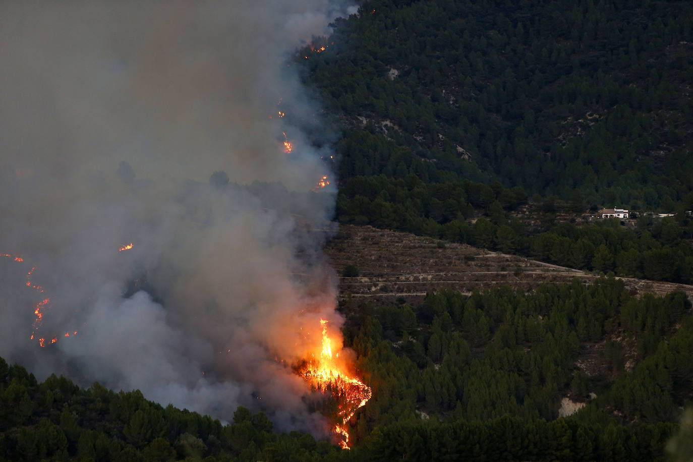 Imagen principal - Incendio en Tárbena. 