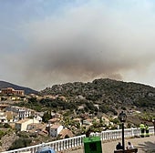 La Xylella fastidiosa, asesina de almendros y pirómana en potencia