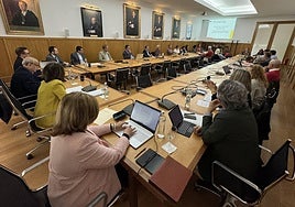 Sesión del Consejo de Gobierno de la Universidad de Alicante.