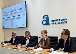 Presentación del estudio en la Diputación de Alicante.