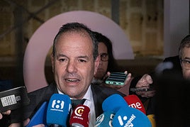 Carlos Baño en declaraciones a medios.