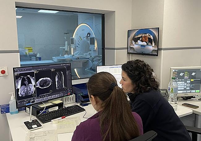 Esta nueva herramienta es la primera de estas características que se pone en marcha en un hospital público de la provincia de Alicante.