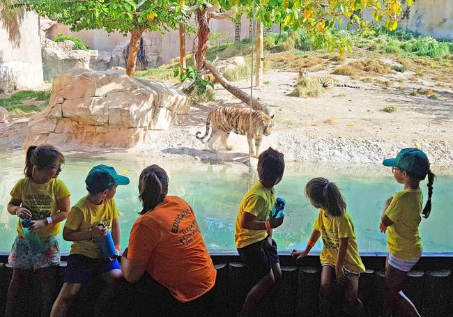 Escuela de verano de Terra Natura Benidorm.