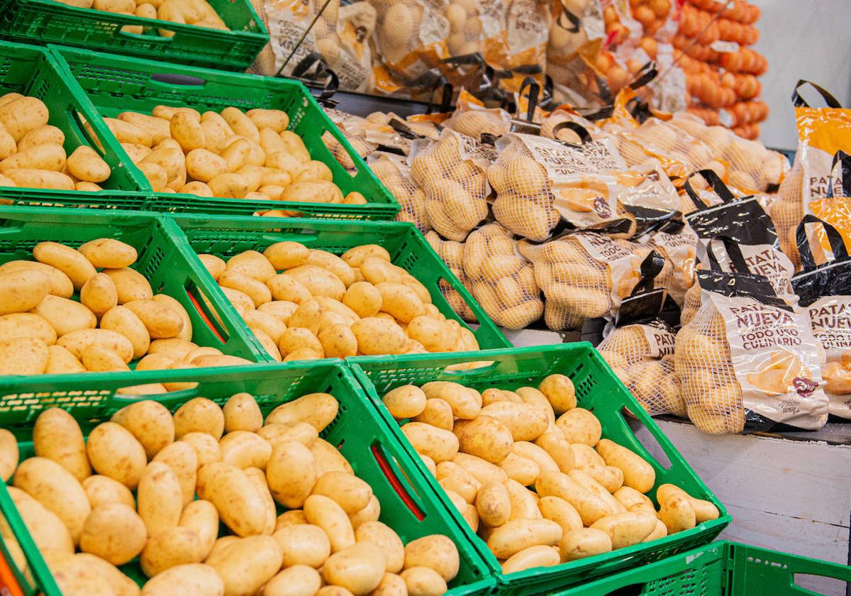 Mercadona prevé comprar 94.000 toneladas de patatas de origen nacional este año, un 6% más