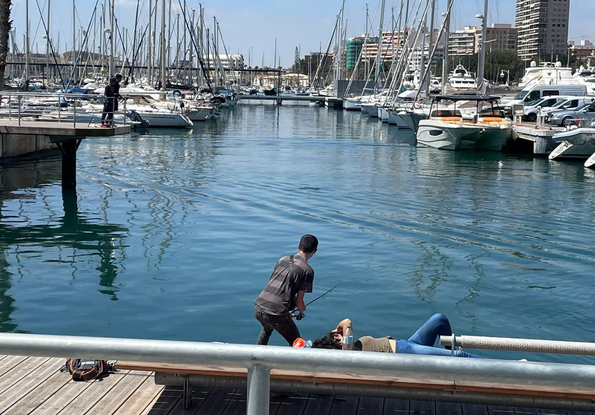 Jóvenes pasan una mañana de pesca en el Puerto de Alicante.