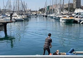 Jóvenes pasan una mañana de pesca en el Puerto de Alicante.