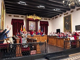 Pleno extraordinario de Elche para el pago de las expropiaciones de la Ronda Sur.