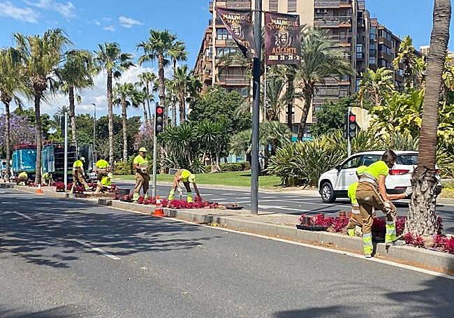 Instalación de las fresias en las medianeras.