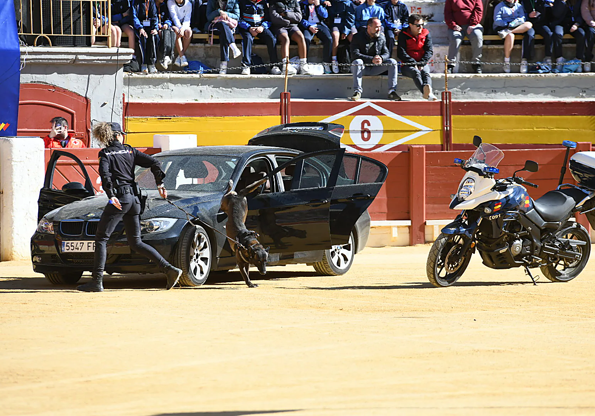 Imagen de la exhibición de medios de la Policía Nacional en la plaza de Toros de Alicante el pasado febrero.