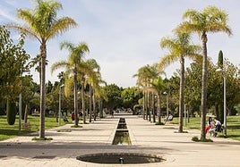 Campus de la Universidad de Alicante.