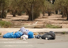 Bolsas de basura amontonadas en la zona industrial del barrio del Cementerio.