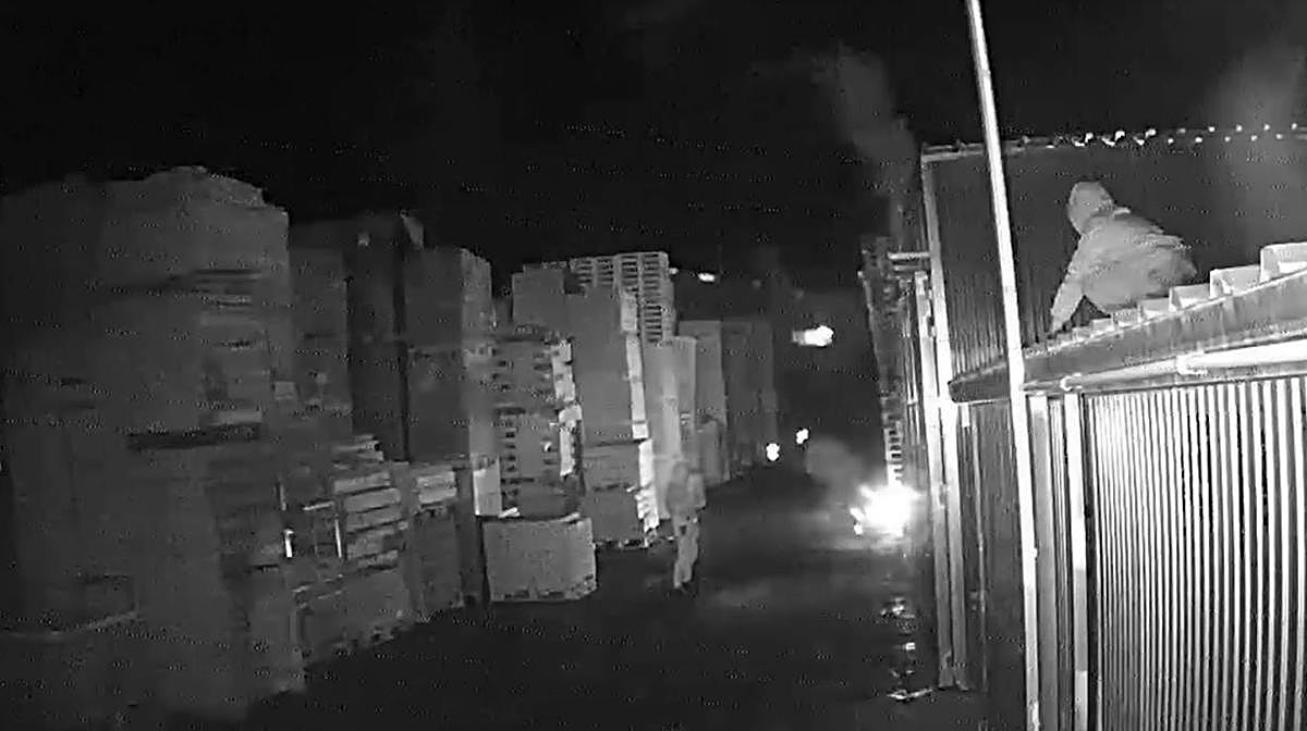 VÍDEO | Intensa operación de la Guardia Civil para desmantelar el cartel del palé que quemó cuatro camiones en Alicante