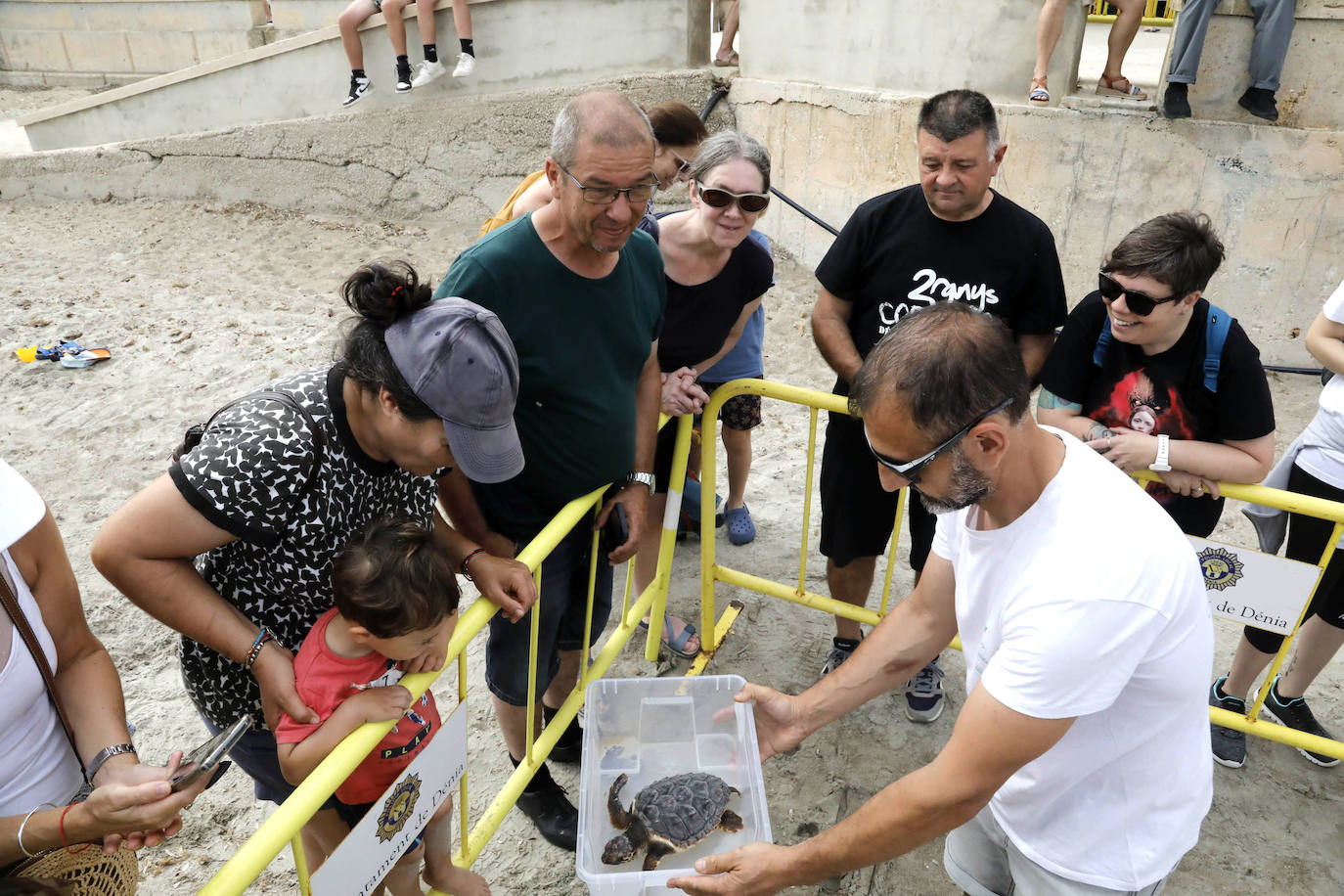 Devuelven al mar siete tortugas nacidas en un nido de Dénia el pasado verano