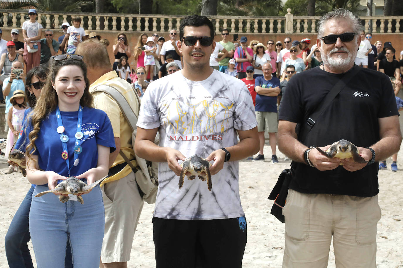 Devuelven al mar siete tortugas nacidas en un nido de Dénia el pasado verano