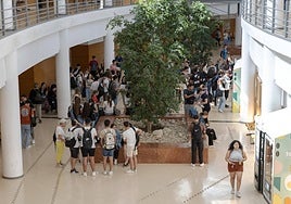 Alumnos en un centro educativo de Alicante.