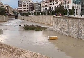 Vista del Río Segura a su paso por Orihuela.