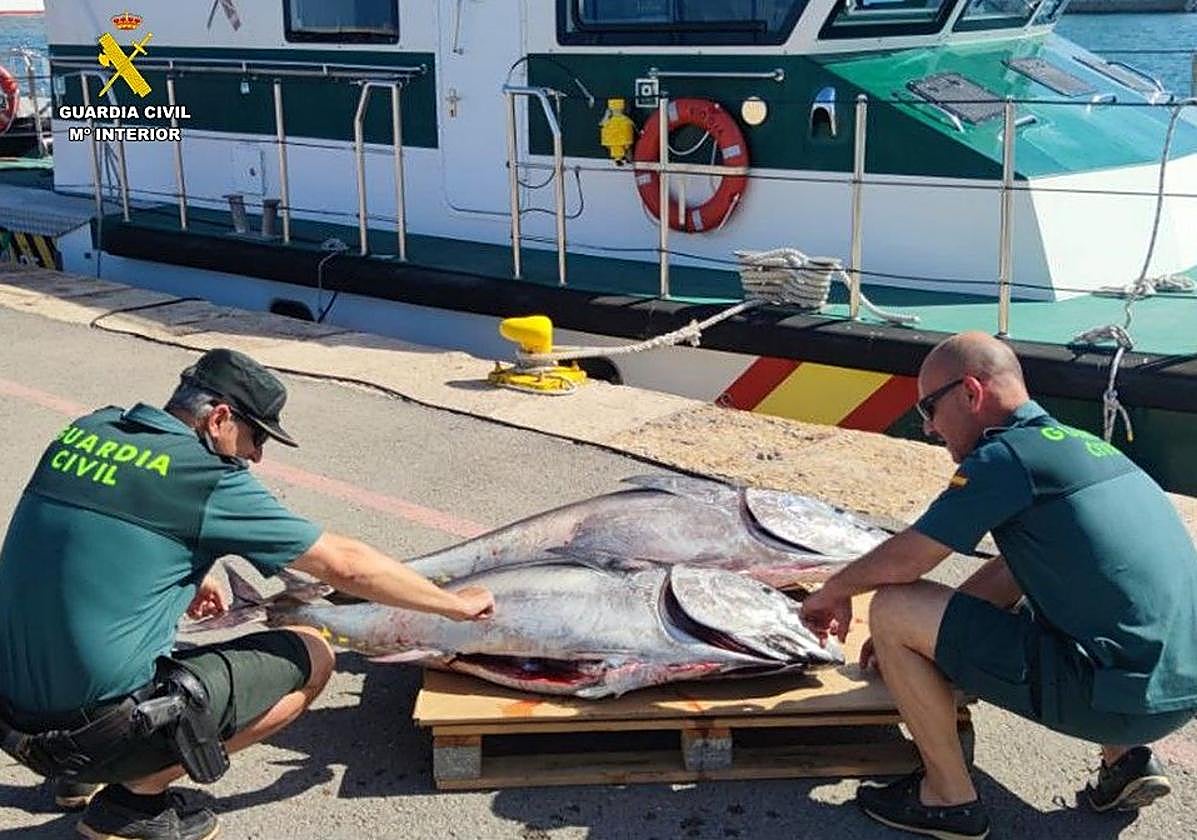 Los guardias civiles, con los atunes intervenidos en puerto.