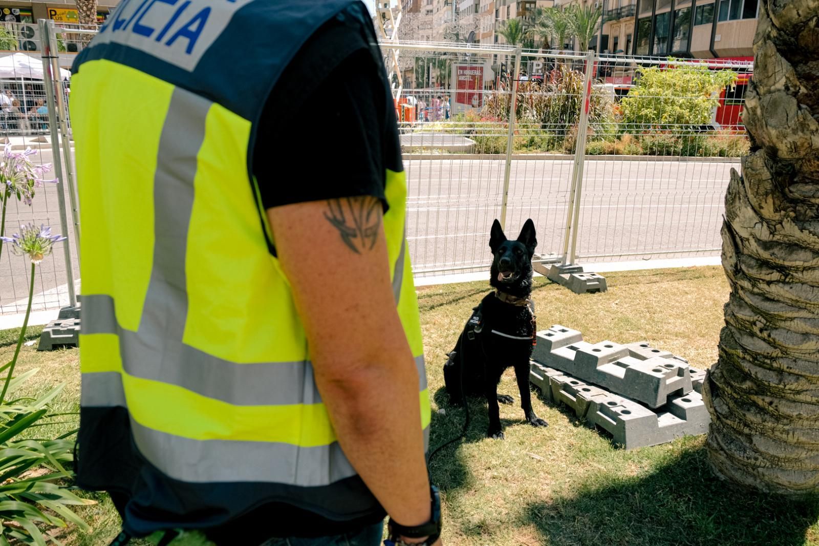 Imagen principal - Lo que no se ve de las mascletàs de las Hogueras de Alicante
