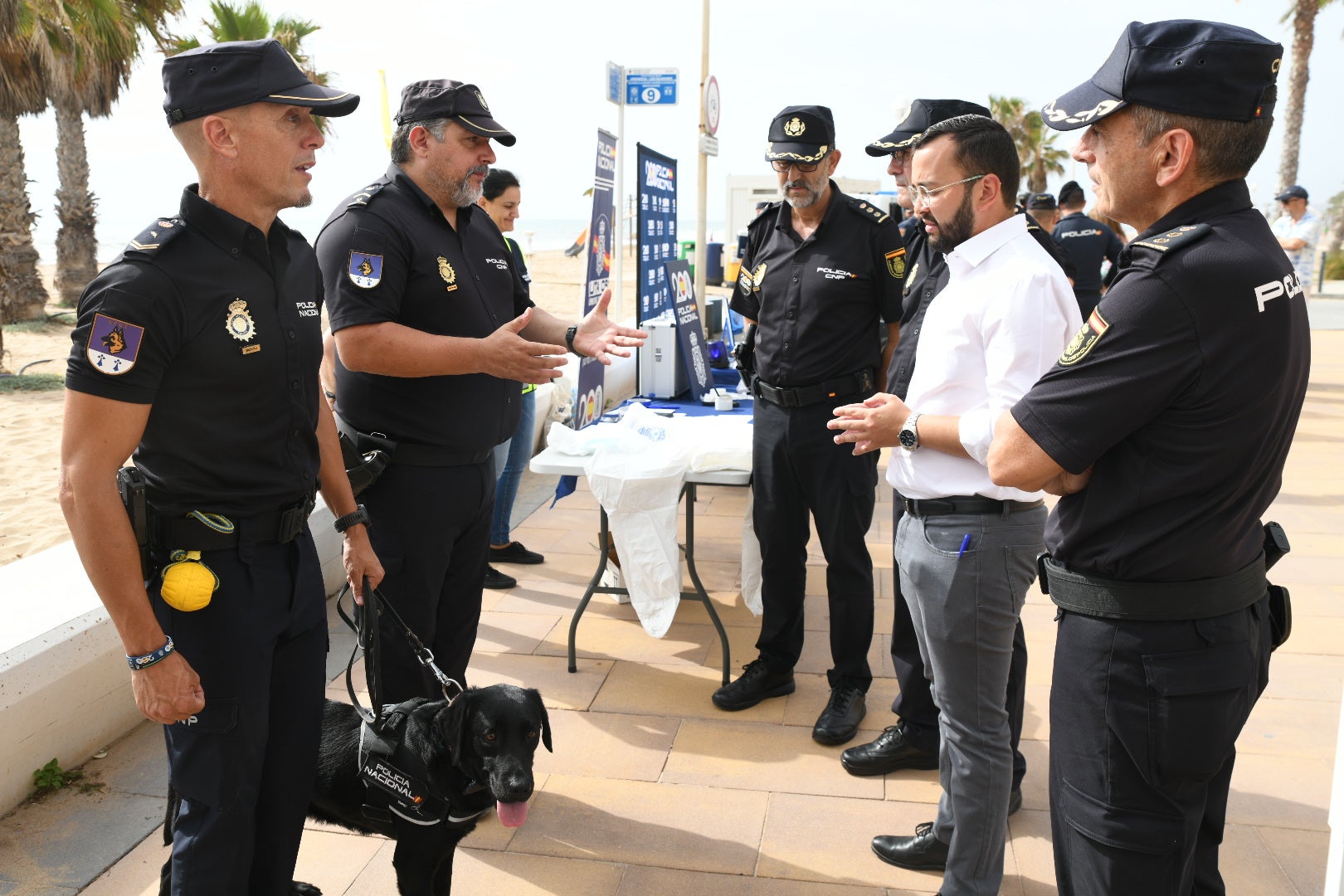 La presentación de la &#039;Operación Verano&#039; de la Policía Nacional de Alicante, en imágenes