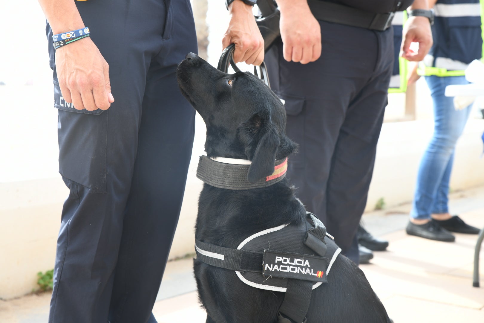 La presentación de la &#039;Operación Verano&#039; de la Policía Nacional de Alicante, en imágenes